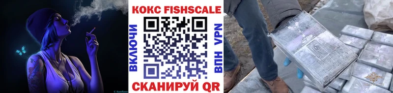 магазин продажи наркотиков  Юрьев-Польский  COCAIN Эквадор 