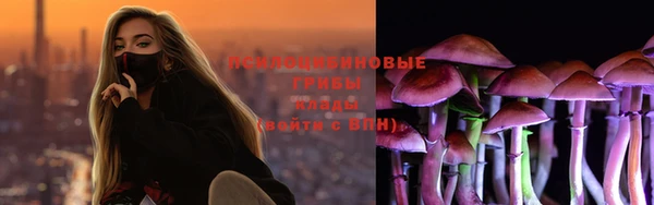 дурь Алзамай