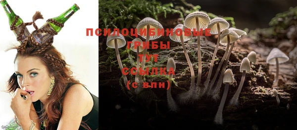 PSILOCYBIN Наволоки